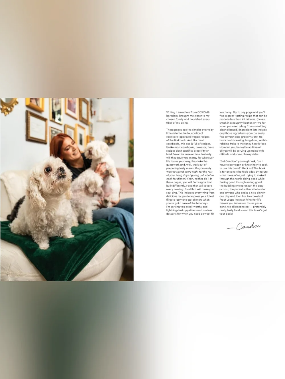 The Edgy Veg Hardcover Quick Tasty Vegan Cookbook By Candice Hutchings - Picture 4 of 14